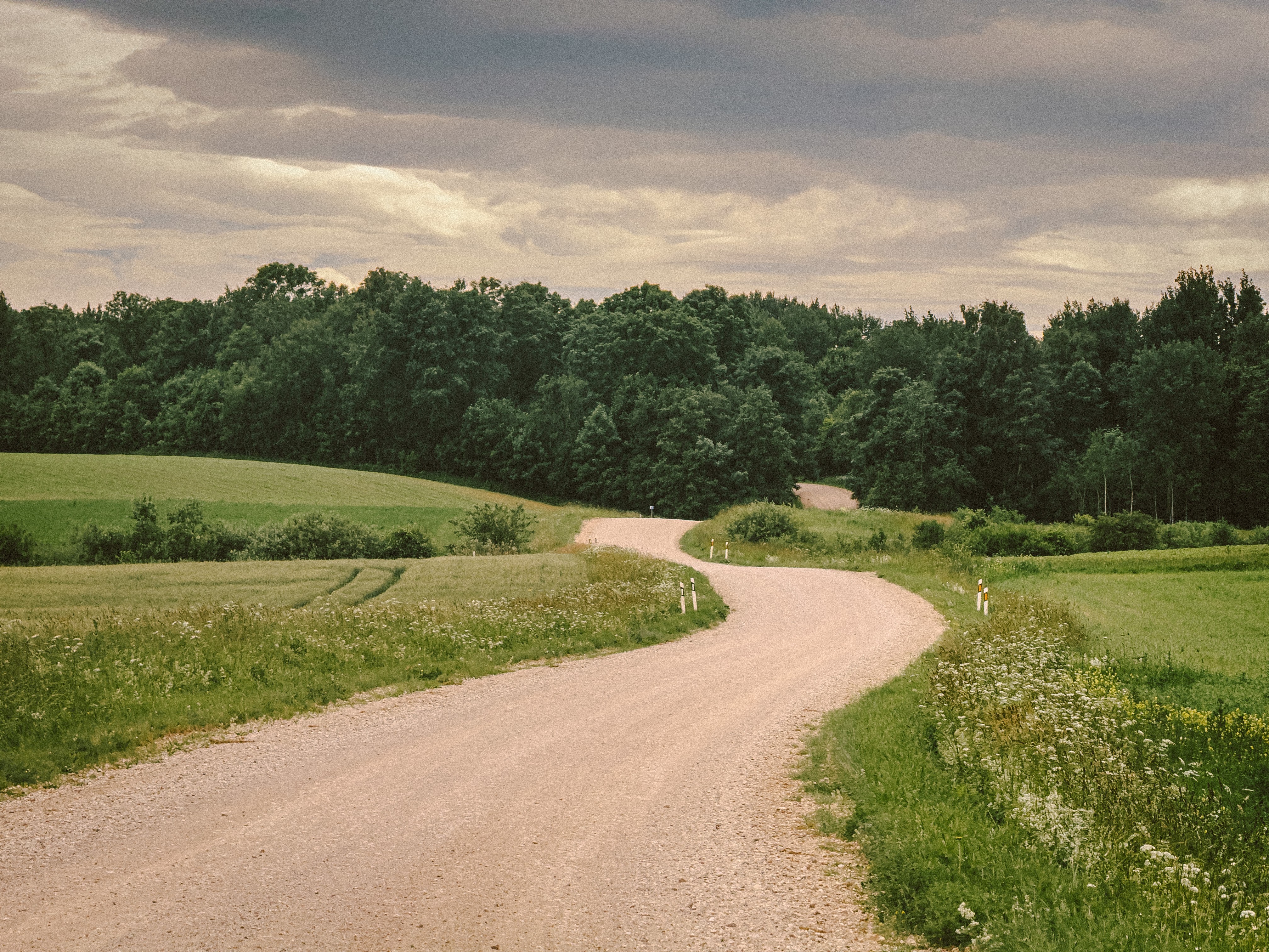 Countryside run
